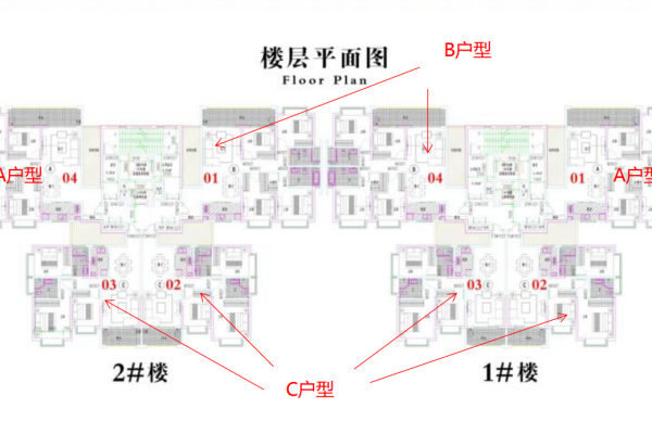 规划图