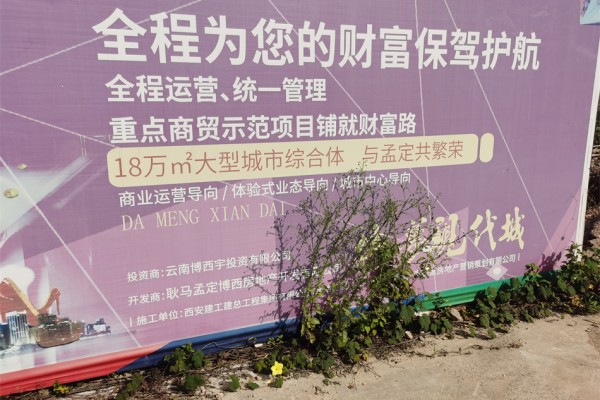 规划图