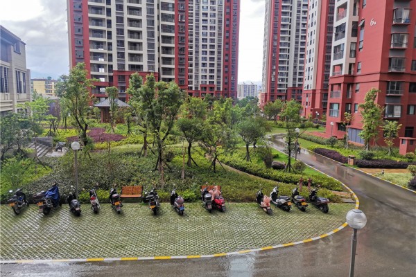 实景图