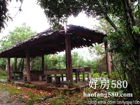 c5df13e1240cecaed133097bfc5f9504~480x480.jpg